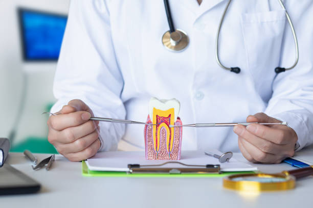 Best Orthodontic Emergency Dentist in Moultrie, GA